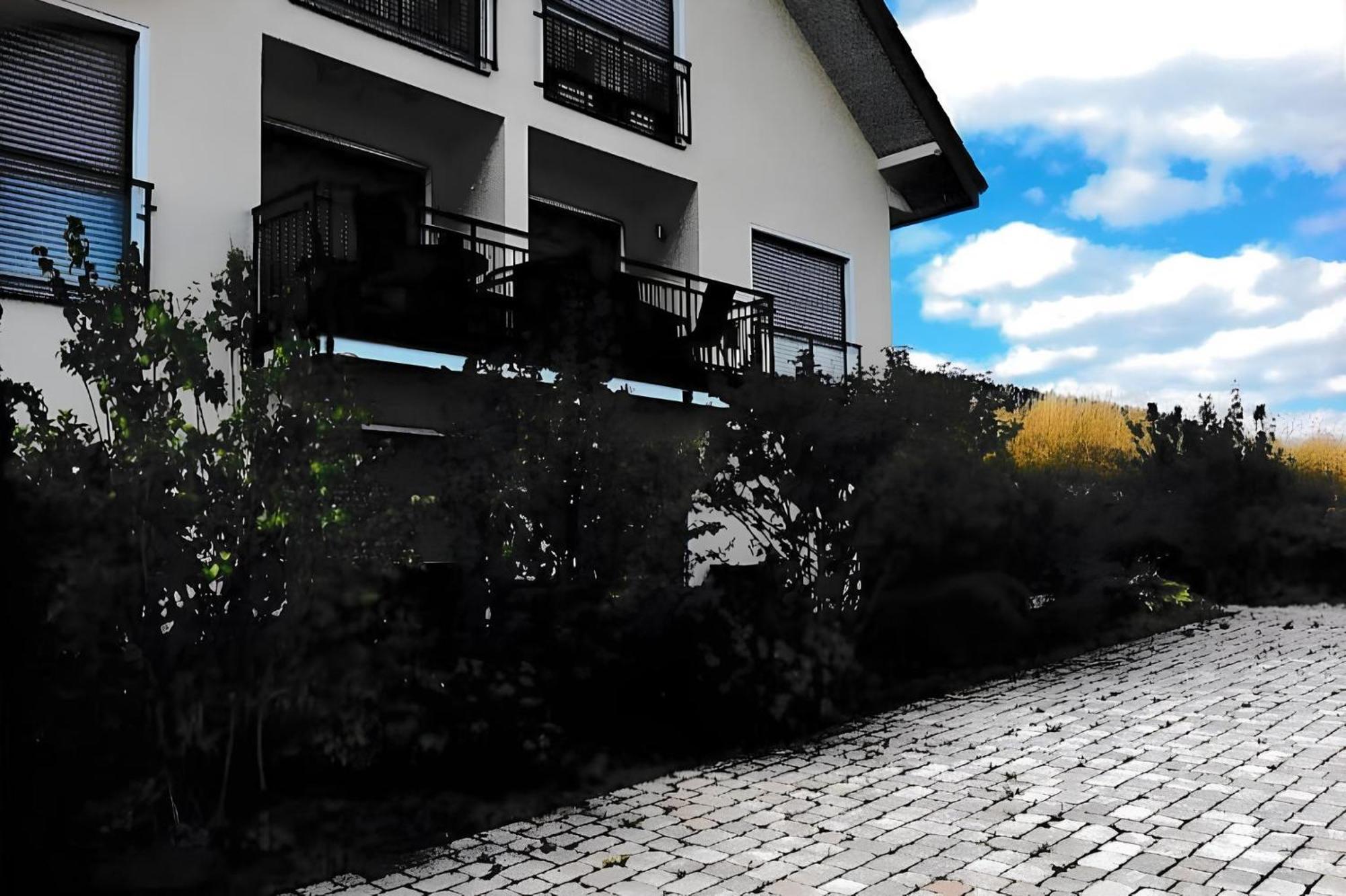 Ferienwohnung Blanco In Willingen ヴィリンゲン エクステリア 写真